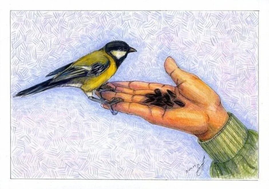 Рисунок на тему птицы. Синичка рисунок. Синица в руках. Рисование птицы на кормушке.