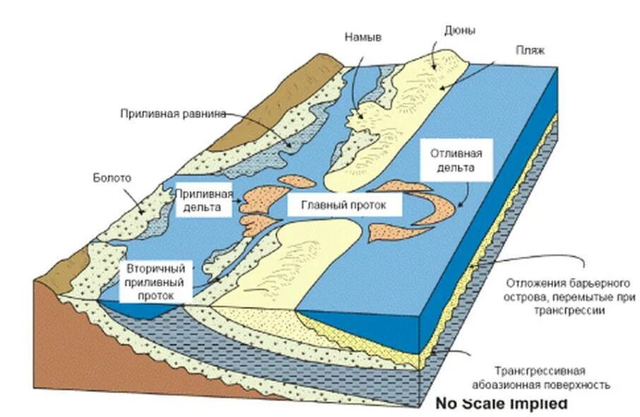 Прибрежно морские обстановки осадконакопления. Континентальные фации. Процесс осадконакопления. Прибрежно морские условия осадконакопления. Береговая линия каналы