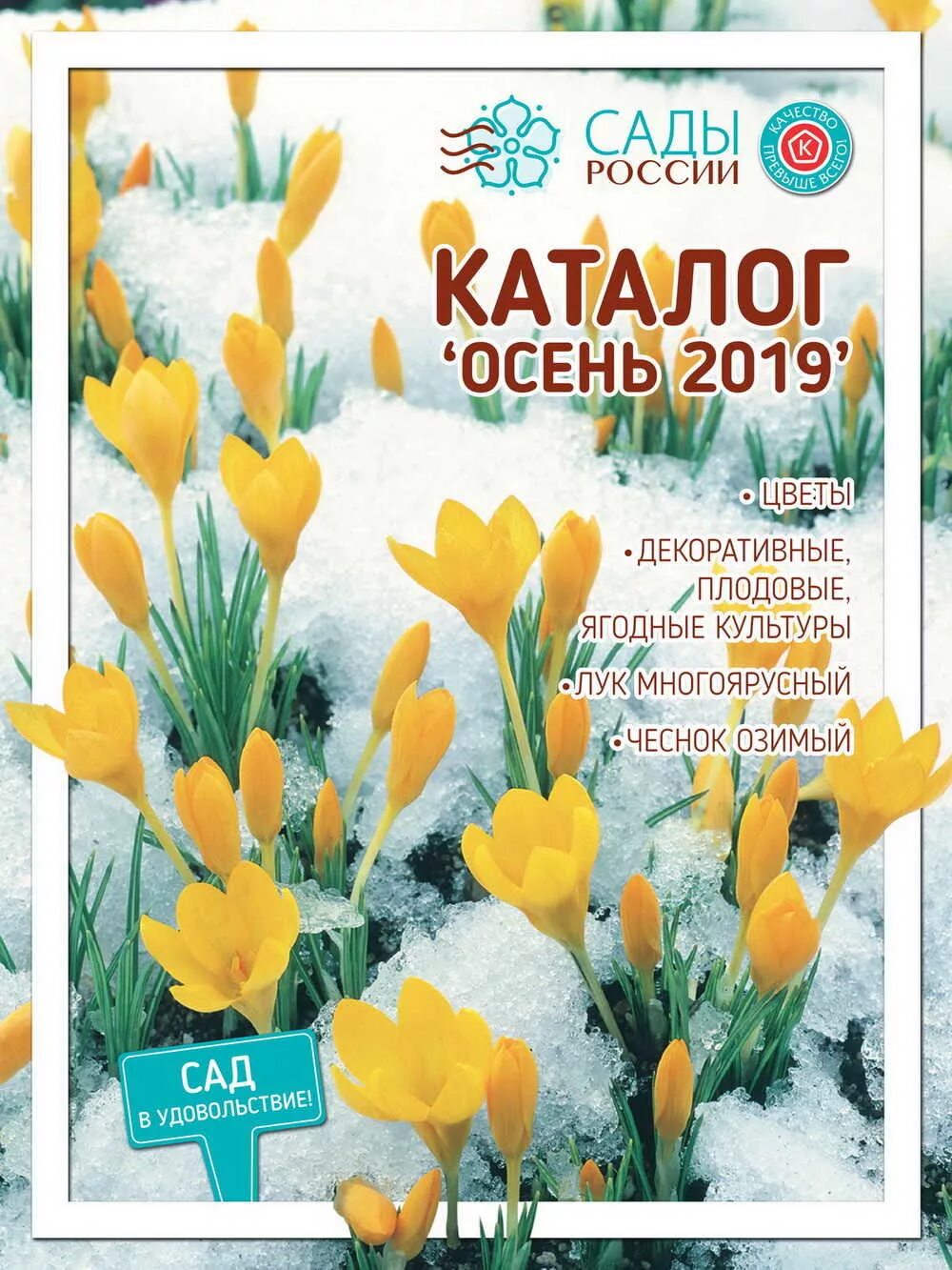 Каталог семян и саженцев сады россии. Сады России каталог. Каталог семян сады России. Сады России Челябинск. Сады России Челябинск каталог.