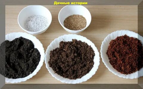 Как прокалить землю для комнатных растений