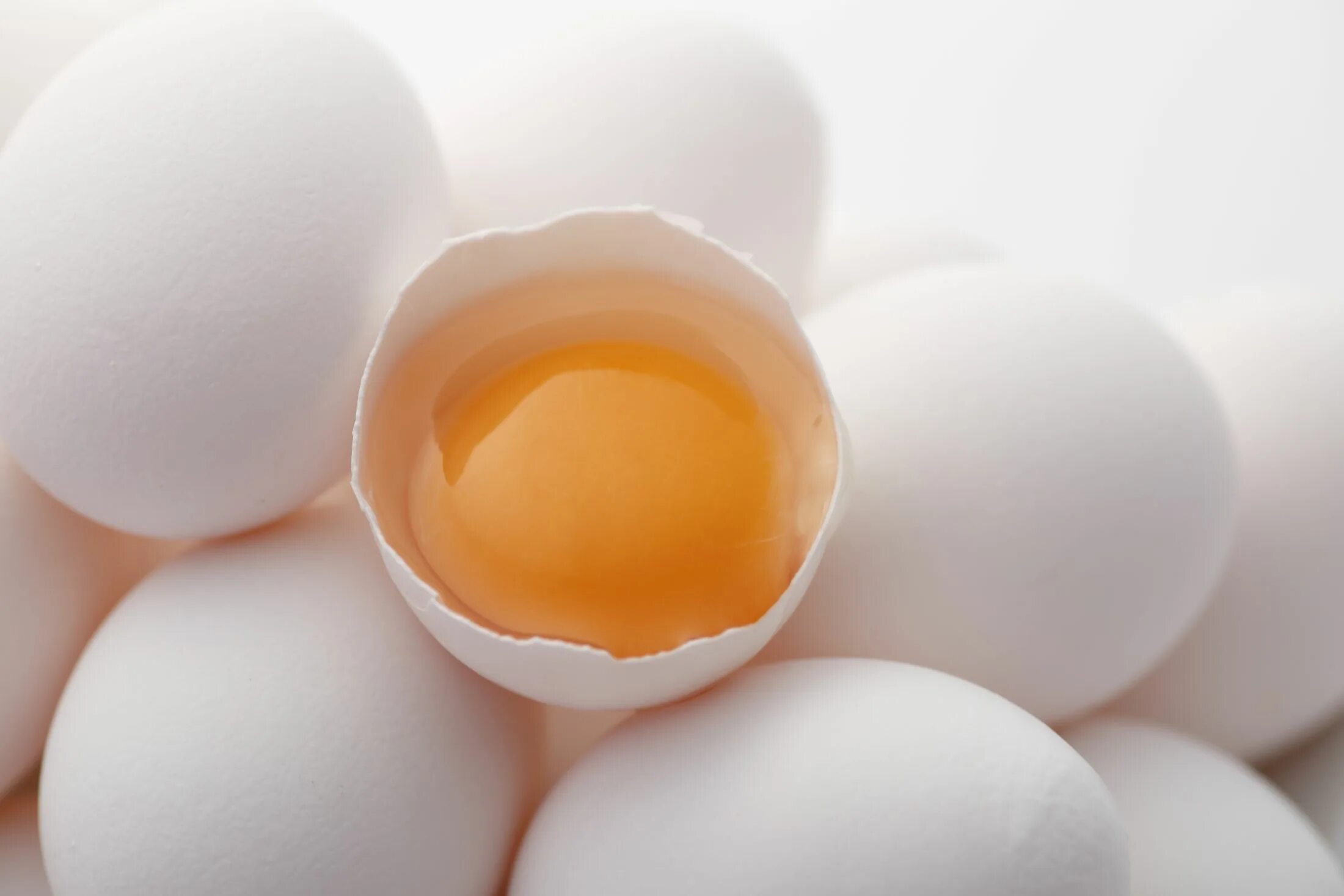 World_record_egg инстаграм. Яйцо анимация. Яйцо нарисовать реалистичное. Супер яйцо. Egg выпадение.