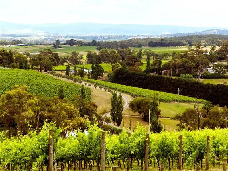 Долина реки ярра фото. Яра долина. Яра долина. Долина ярра австралия. Долина реки ярра (мельбурн) австралия.