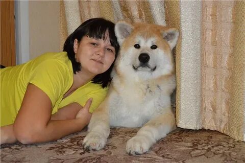 Имя для акиты девочки