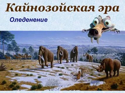 Кайнозой год