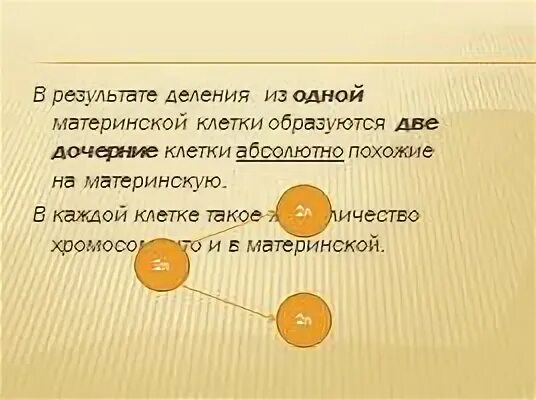 В результате деления одной материнской