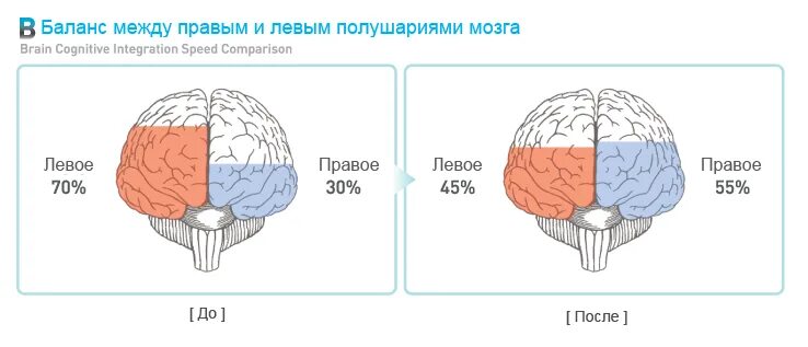 Левое и правое полушарие мозга. Занятия для правого полушария. Занятия для левого полушария. Развитие правого и левого полушария у детей.