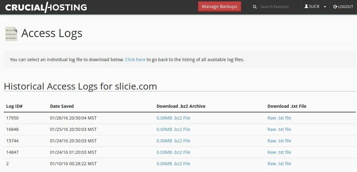 Client log. Access.log как выглядит. купон “logs30d”. safe access log file.