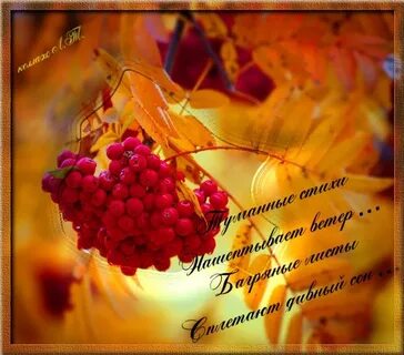 Есенин рябины красной
