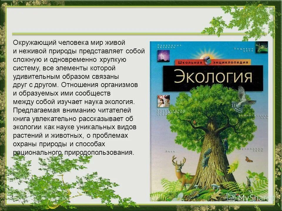 Русские народные сказки о неживой природе. Сказки о неживой природе. Экосистема для дошкольников. Рассказ о живой природе. Неживая природа.