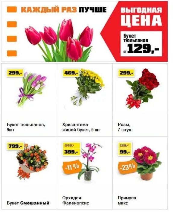 Сколько стоят тюльпаны в магните