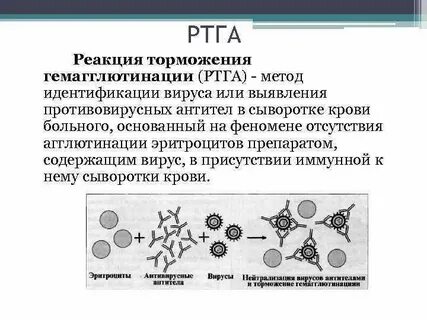 Методы выявления антител вируса