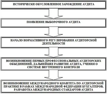 Аудит возник