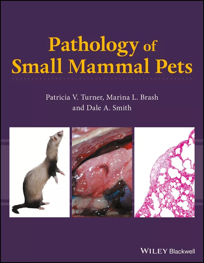 Pet pdf. Veterinary Pathology book. Ветеринарная офтальмология книги. Fundamentals of Pathology. Laboratory Tests for small mammals.
