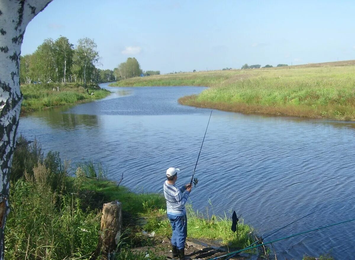 Ловить речную. Река Оша Омск. Река Оша Колосовский район. Река Тарбуга Омская область. Рыбалка на реке Оша.