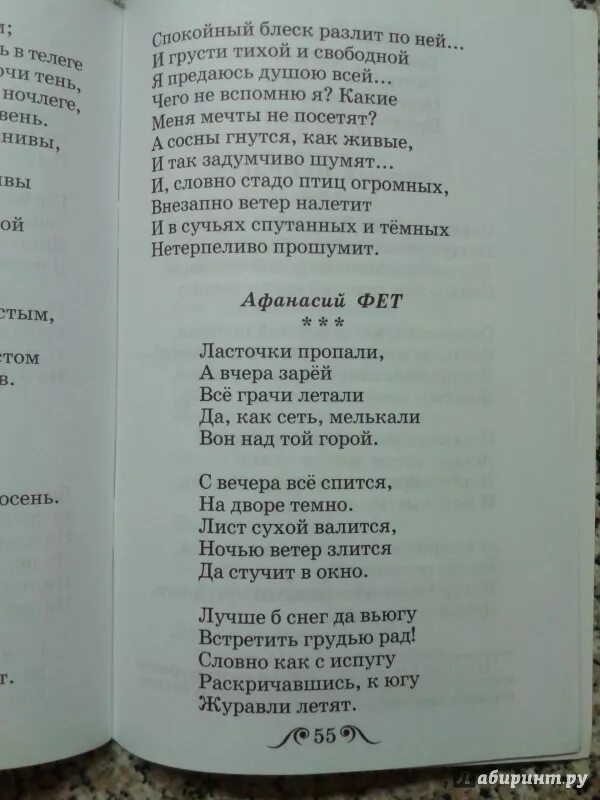 Легкий стих фета 16. Стихотворения. Фет а.а.. Лёгкие стихи Фета. Стихи Фета о природе. Стихотворение Фета 16 строк.