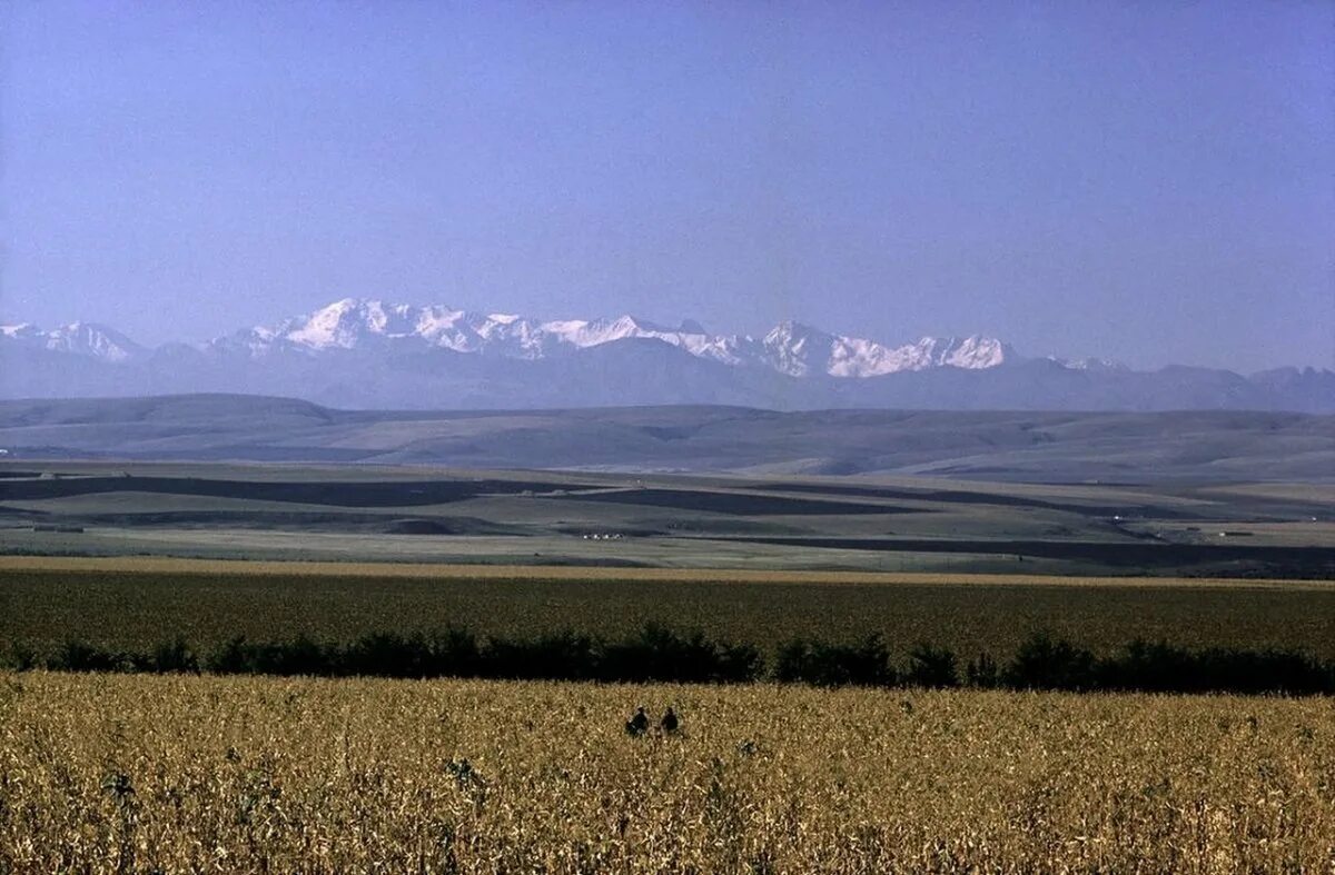 Полупустыни казахстана. Альбукерке пустыня. Каменистый каменистые пустыни. Степи и полупустыни. Прерии северной америки.