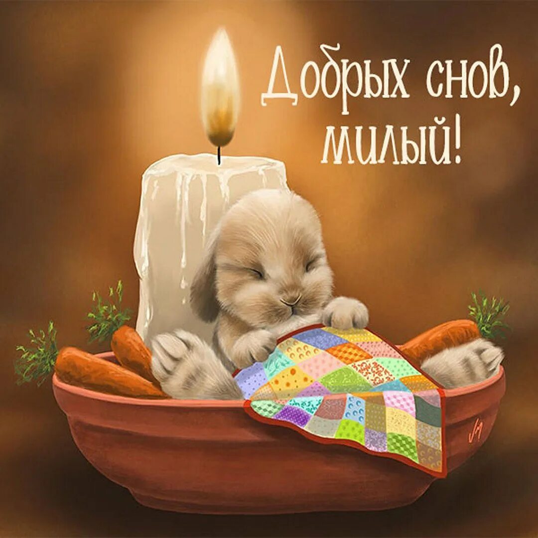 Картинки добро ночи с животными. Кролики. художник veronica minozzi. спокойной ночи зайчик. спокойной ночи зайка. спокойной ночи, зайчонок.