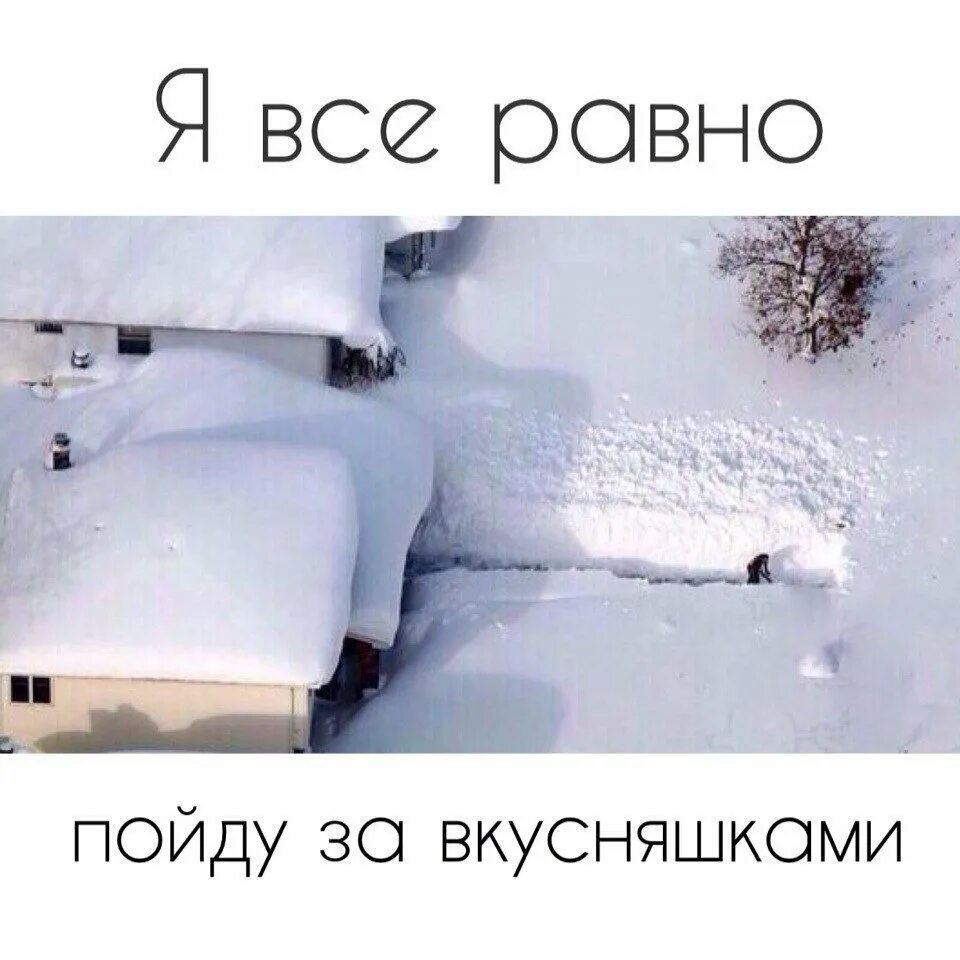 Один дома приколы. Когда один дома. Осталась одна дома и решила. Когда дома одна картинки. Когда осталась одна дома без детей.