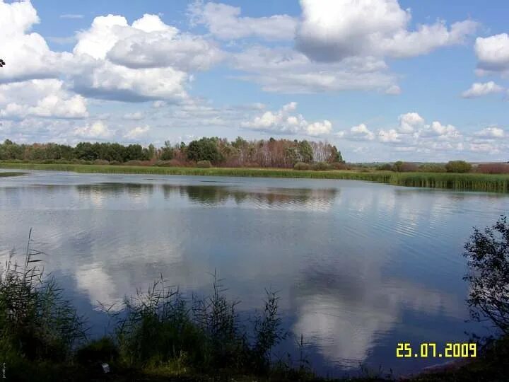 Дом друзей рыбалка. Озеро в Нижнекамске. Камские Поляны речка. Озеро Вязовое Камские Поляны. Озеро долгое Нижнекамск.