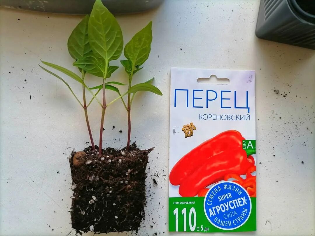 Почему нет перцев