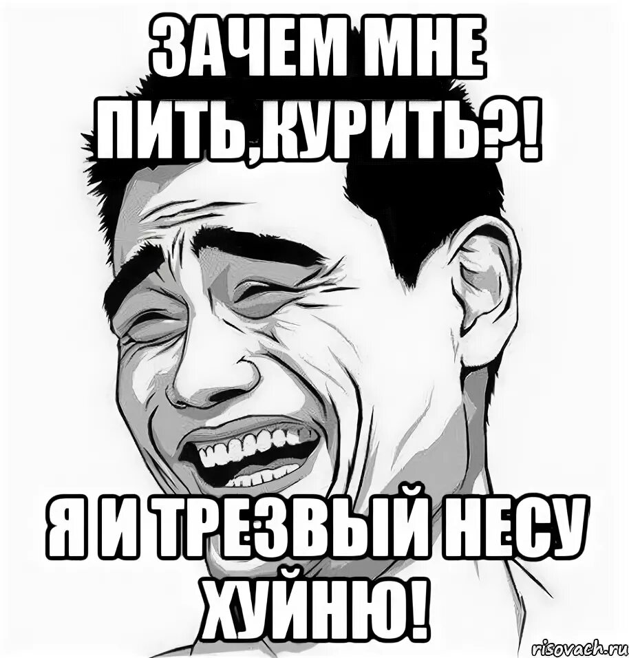 Несите почему и