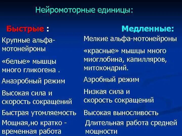 Нейромоторная единица. Нейромоторные единицы физиология. Нейромоторная единица. Нейромоторные единицы. Виды нейромоторных единиц.