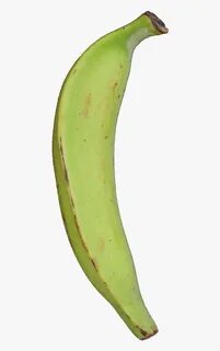 Plantain