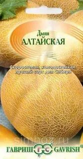 Алтайская дыня описание
