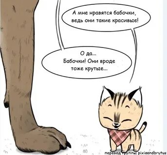 Вроде тоже
