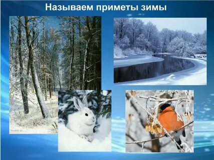 Пример зимы