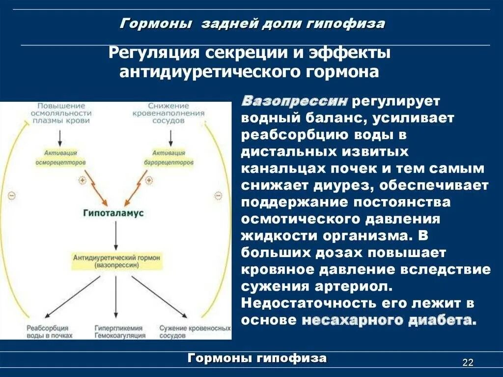 Гормоны содержат