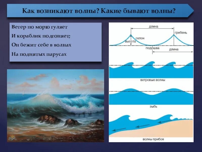 Движение волн. Типы волн на море. Как образуются волны. Виды волн в море. Волны строение волны.