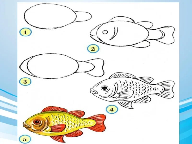 Рыбы рисунок 3 класс. Рисование рыбки. Поэтапное рисование рыбы. Рисование 3 класс. Рисование 1 класс.