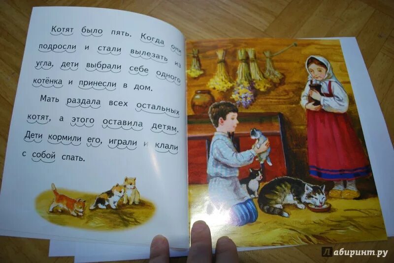 Котенок герой произведений. Л Н толстой котенок. Л Н толстой сказка котенок. Котенок л.н.толстой текст. Рассказ Льва Николаевича Толстого котенок.