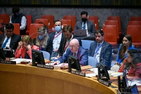 Представитель в оон до небензи