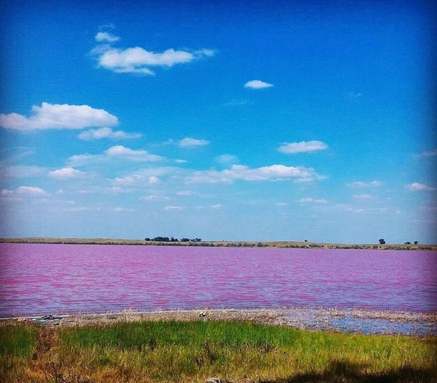 малиновое озеро (михайловский район). розовое озеро бурлинское алтайский край. розовое озеро яровое. розовых озерах алтайского края. малиновое озеро озеро алтайский край.