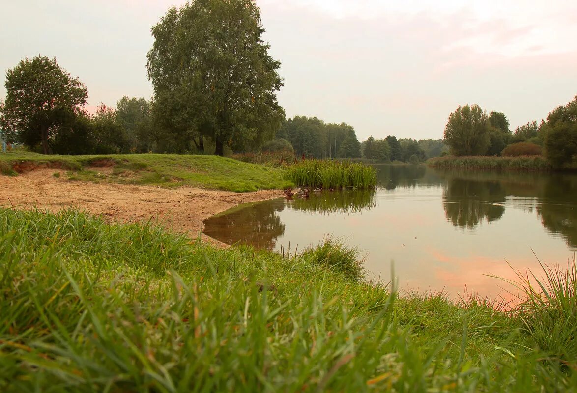 свислочь приток