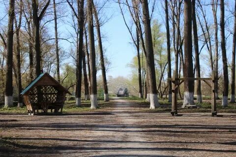 Старый новый парк