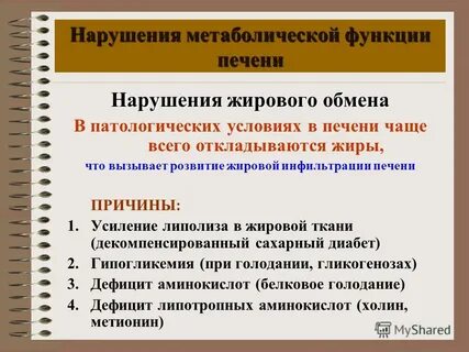 Метаболические функции печени