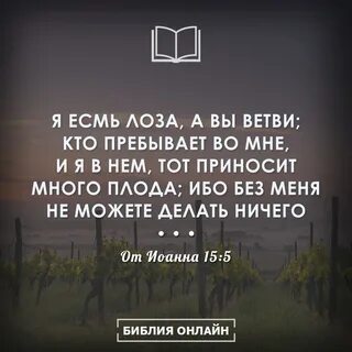 Ты есть моя лоза святая