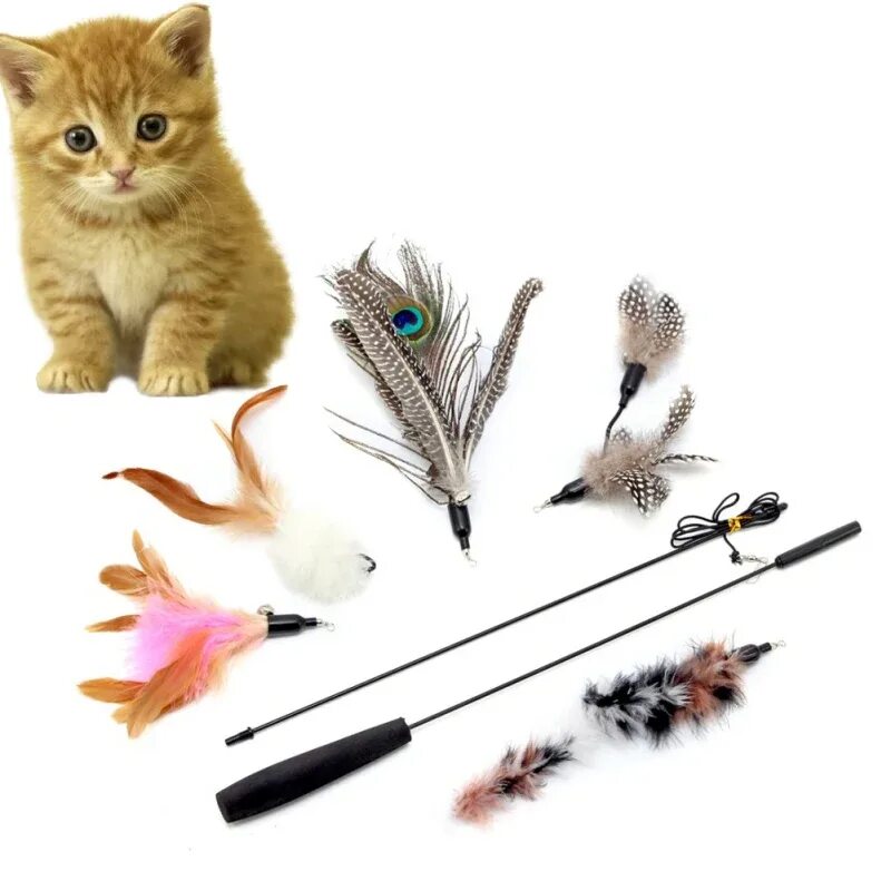 Игрушки для кошек с перьями. Игрушка для кошек на палочке с перьями. Палочка с перьями для кота. Игрушка для кота палочка с перьями. Игрушка пёрышки для котёнка.
