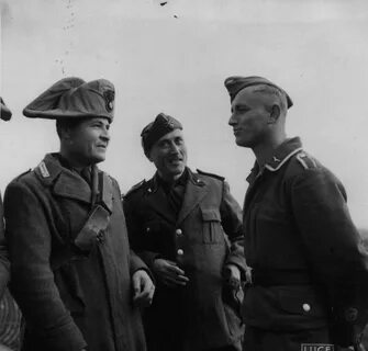 Италия 1941