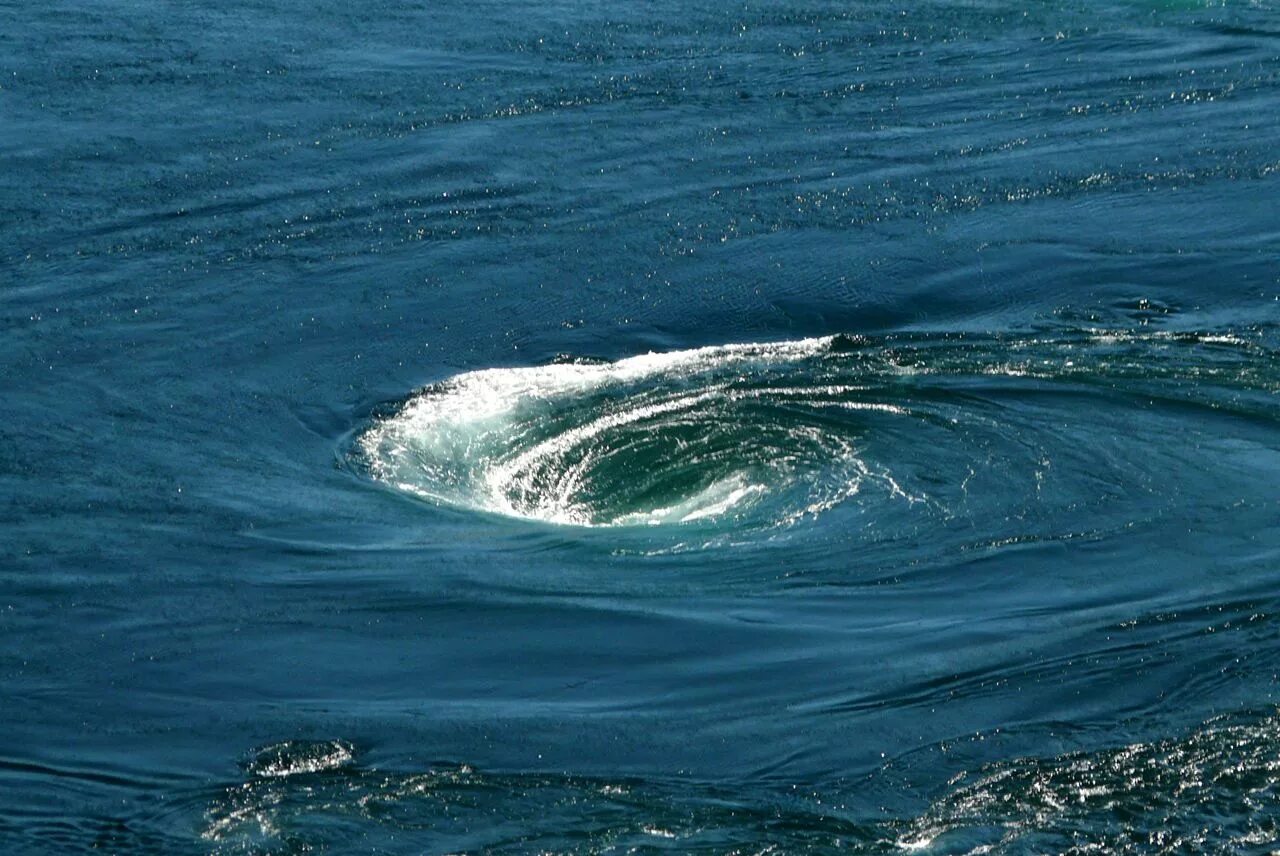 Сенот ангелита мексика. В черном море есть река. Дно черного моря. В черном море есть река. Реки впадающие в черное море на карте.