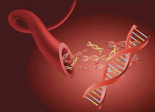 Blood dna. Кровь биология. Blood dna. Blood dna. Dna микробиология.