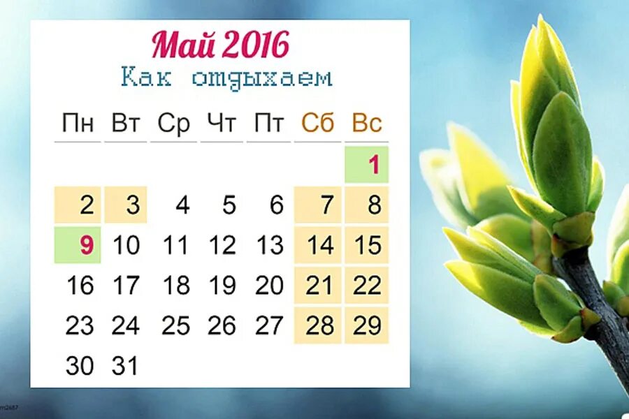 Майские праздники 2016. Праздники в мае. Выходные в мае. Как отдыхаем в мае 2016.