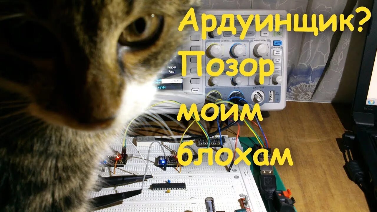 Кто такой ардуинщик. Мемы про ардуино. мемы смешные про ардуино. аватарка ардуинщика. картинка рабочий стол ардуинщика.