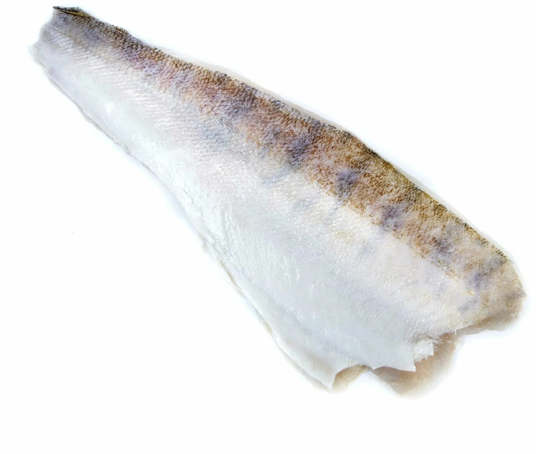 Судак филе на коже 400+. Почему позеленела запеченная рыба судак. Филе судака на коже. Филе судака н/к iqf 100-300 гр. Филе судака 400+.