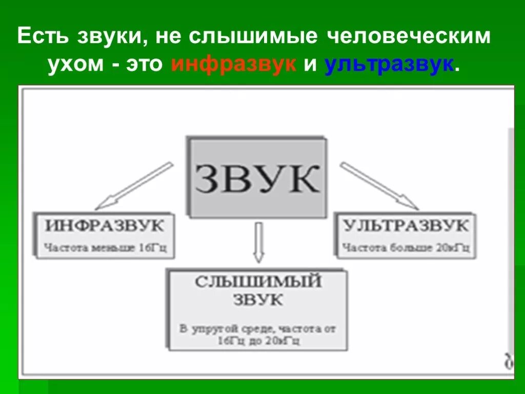 Слышимый звук. Ультразвук слышимый звук. Звук ультразвук инфразвук таблица. Звуки наиболее важные для человека. Слышимый звук имеет