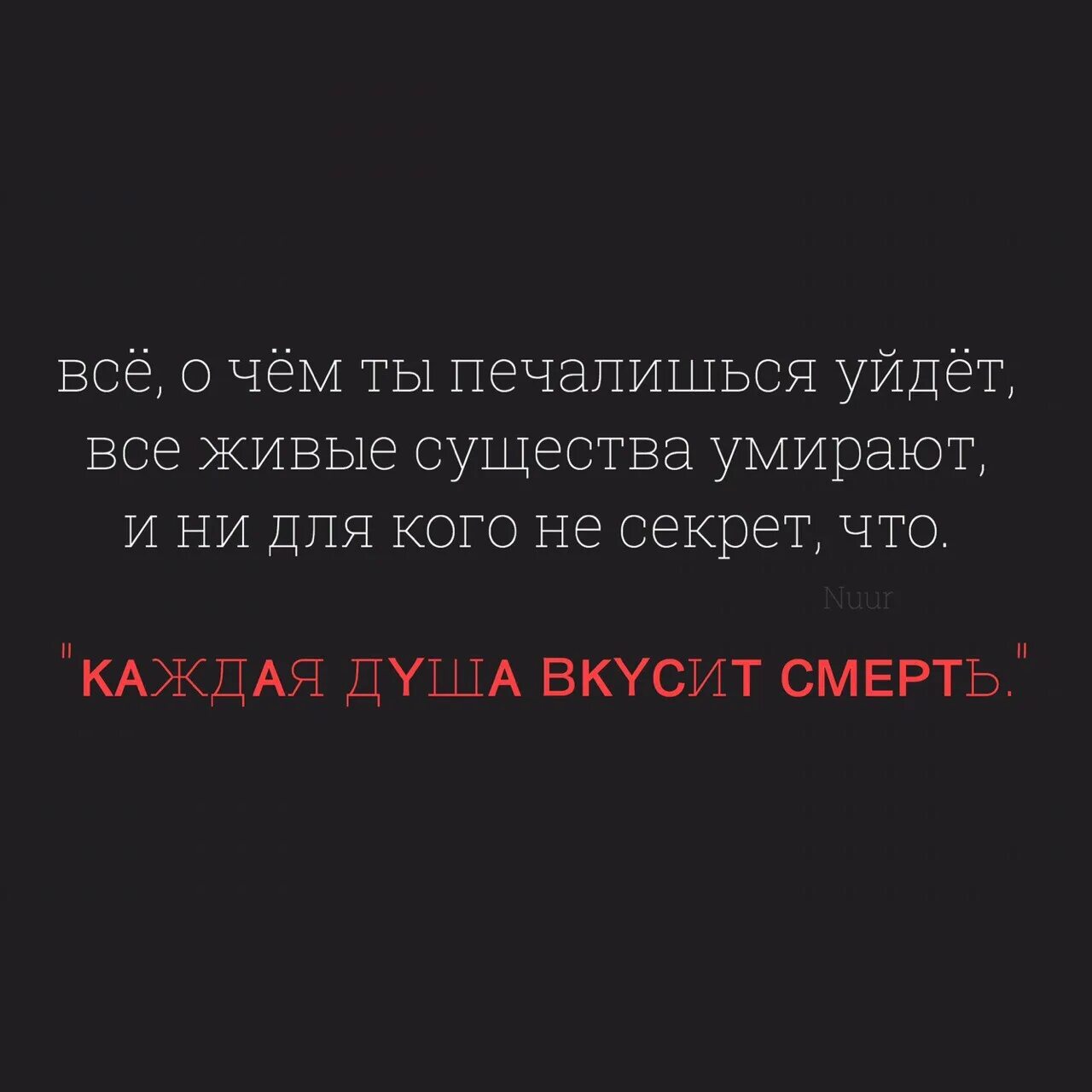 Пальцы тушат свечу. Тушили свечи при встрече. Как огонь горели ваши речи. Цитаты как огонь горели ваши речи. Как огонь горели ваши речи а при встрече мы тушили.