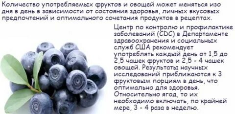 Голубика садовая польза и вред